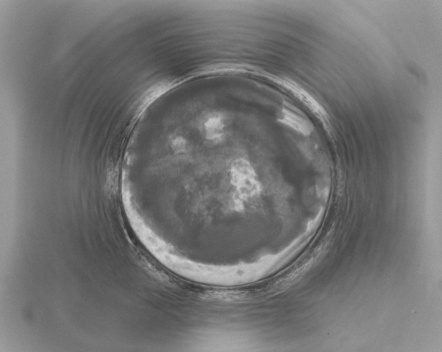 X0000115670953200912101109