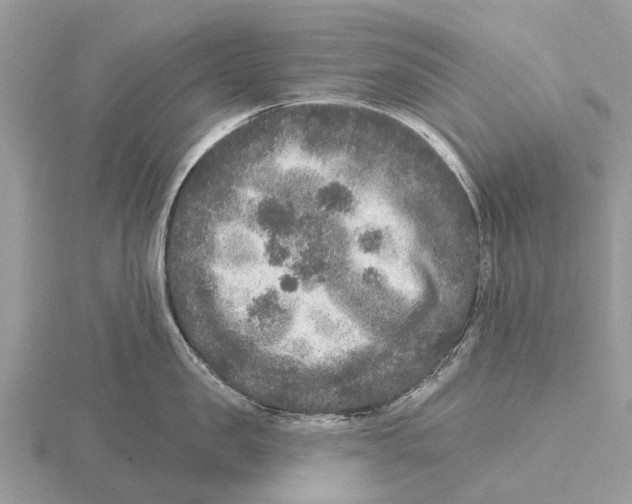 X0000115670957200912101109