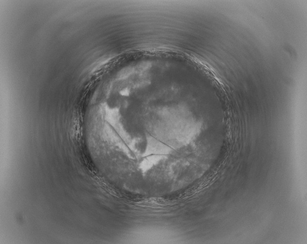 X0000115670966200912101109