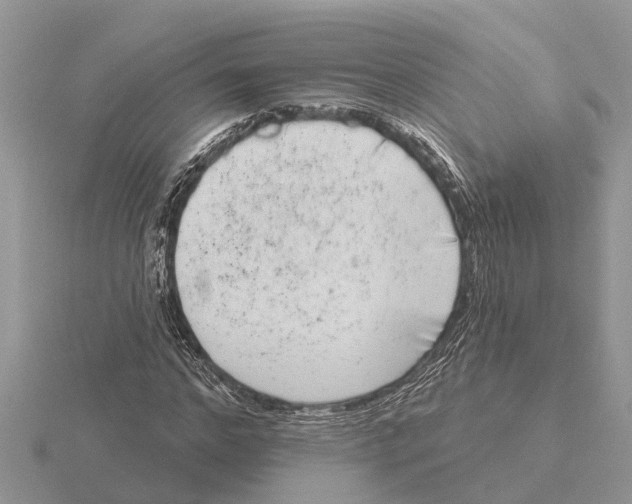 X0000115670968200912101109