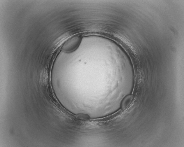 X0000115670969200912101109