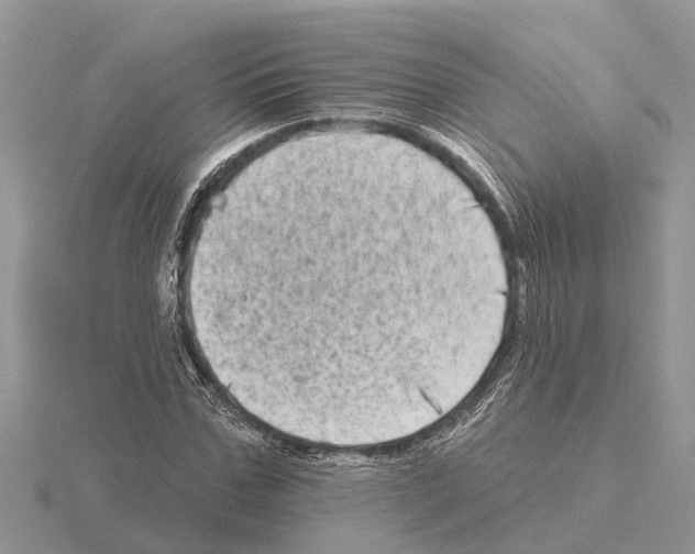 X0000115670971200912101109