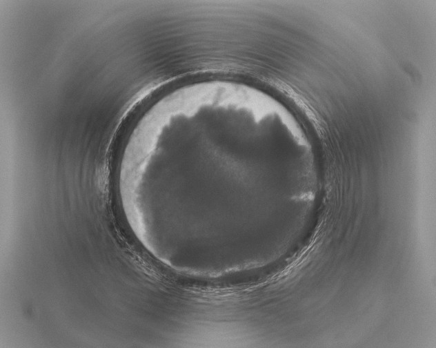 X0000115670975200912101109