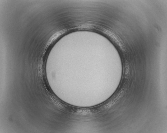 X0000115670978200912101108