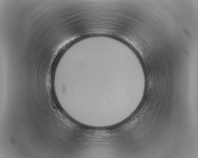 X0000115670979200912101108