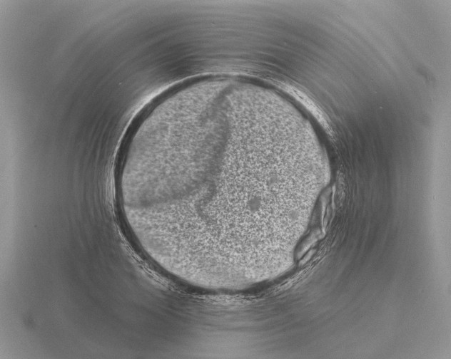 X0000115670980200912101108