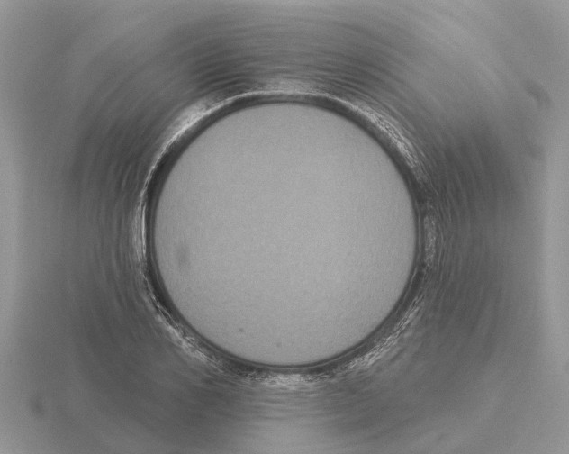 X0000115670982200912101108