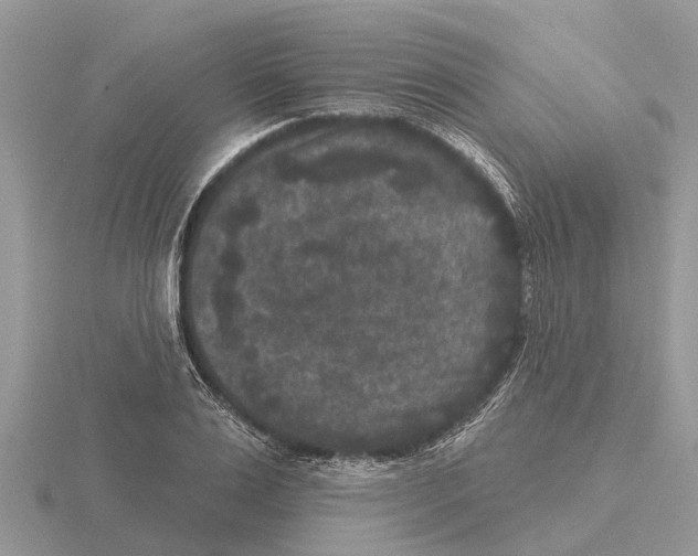 X0000115670983200912101108