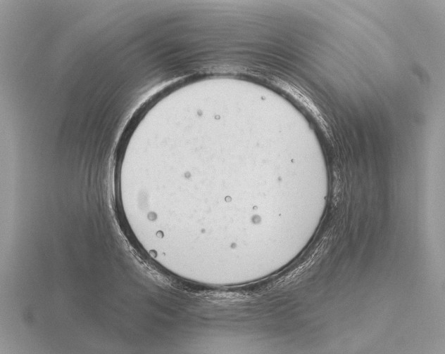 X0000115670984200912101108