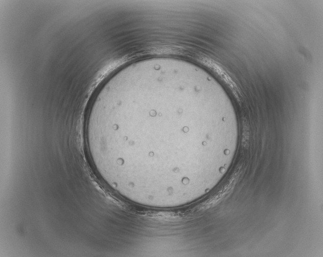 X0000115670986200912101108