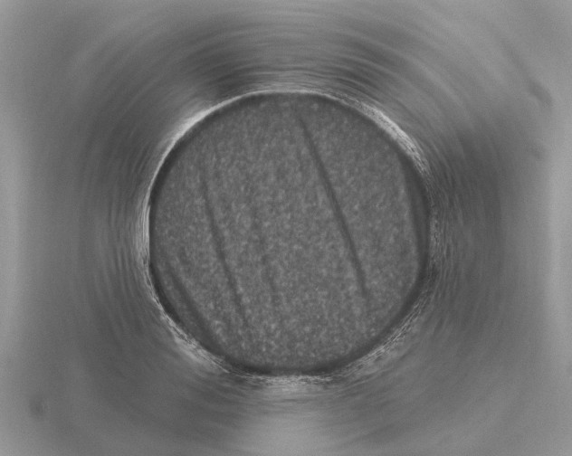 X0000115670988200912101108