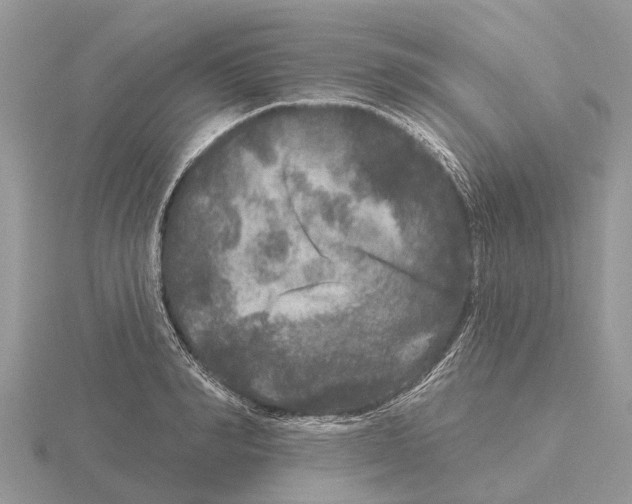 X0000115670990200912101108