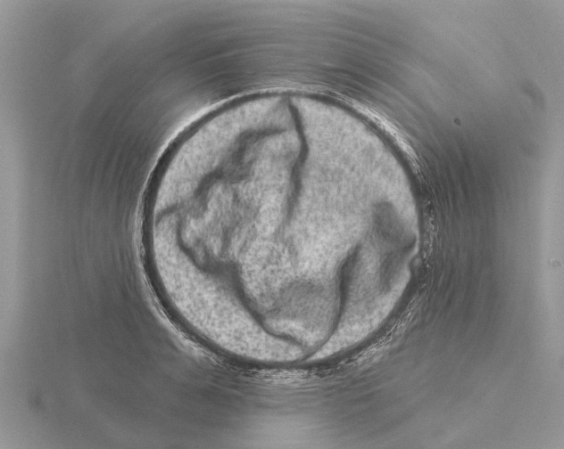 X0000115670991200912101108