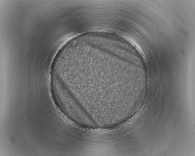 X0000115670992200912101108