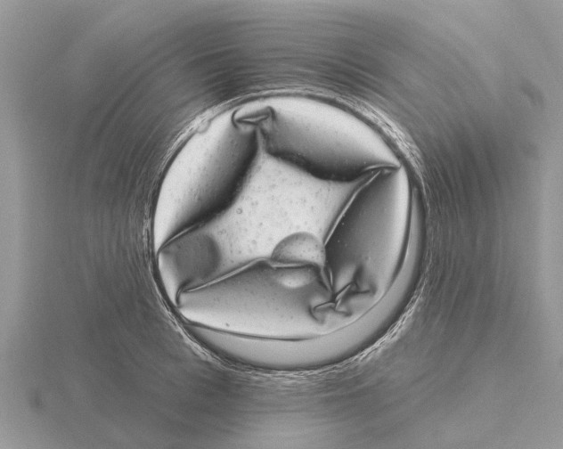 X0000115670993200912101108