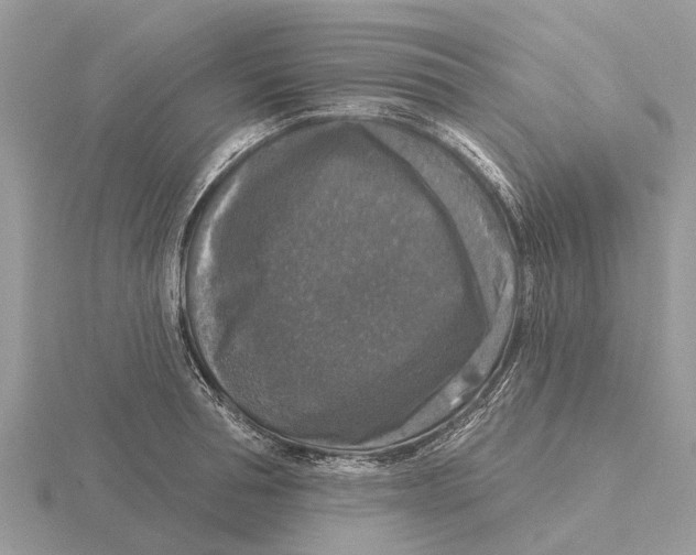 X0000115670994200912101108