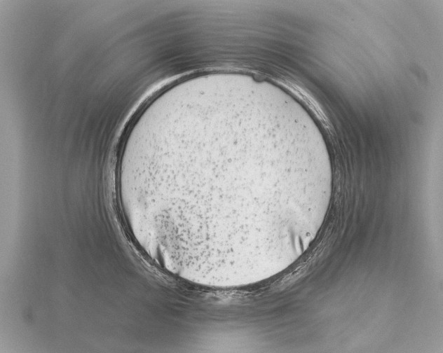 X0000115671000200912101108