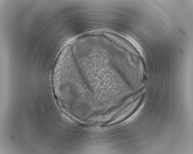 X0000115671001200912101108