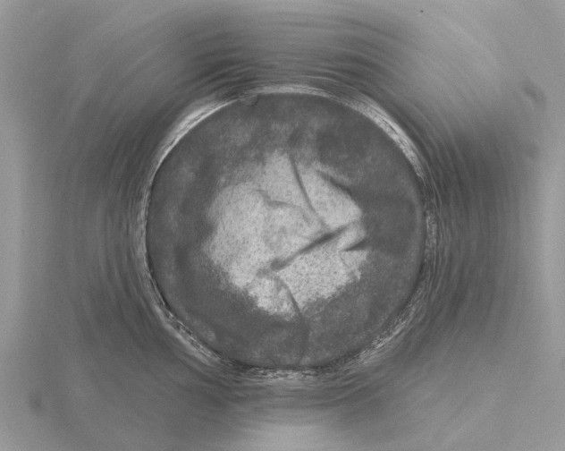 X0000115671002200912101108