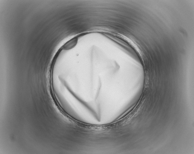 X0000115671003200912101108