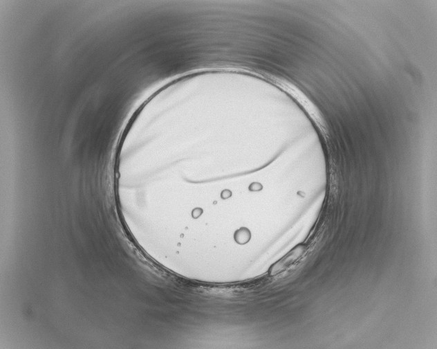 X0000115671004200912101108