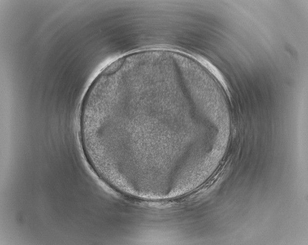 X0000115671005200912101108