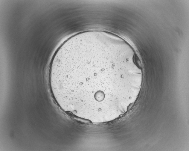 X0000115671008200912101108