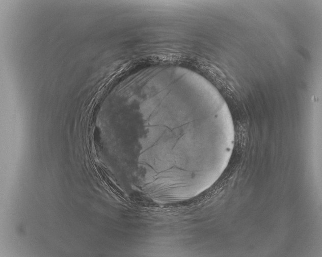 X0000115671009200912101107