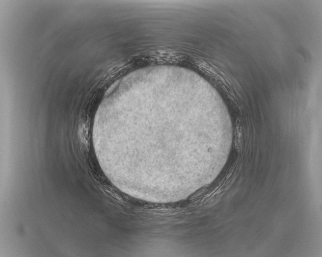 X0000115671010200912101108