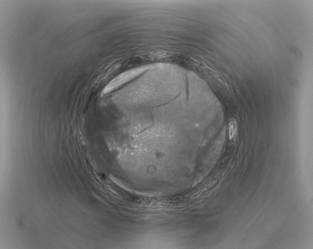 X0000115671011200912101108