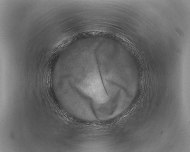 X0000115671014200912101108