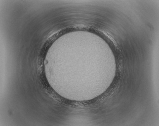 X0000115671015200912101108