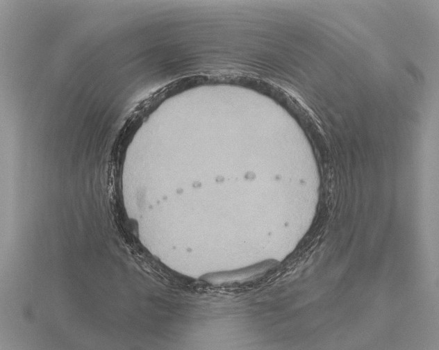 X0000115671016200912101108