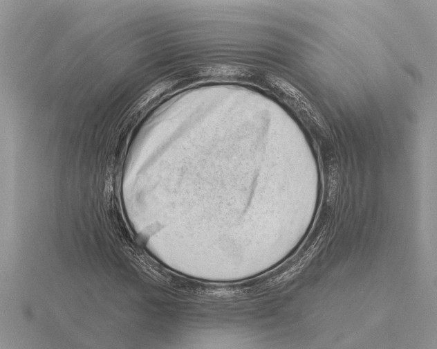 X0000115671017200912101108