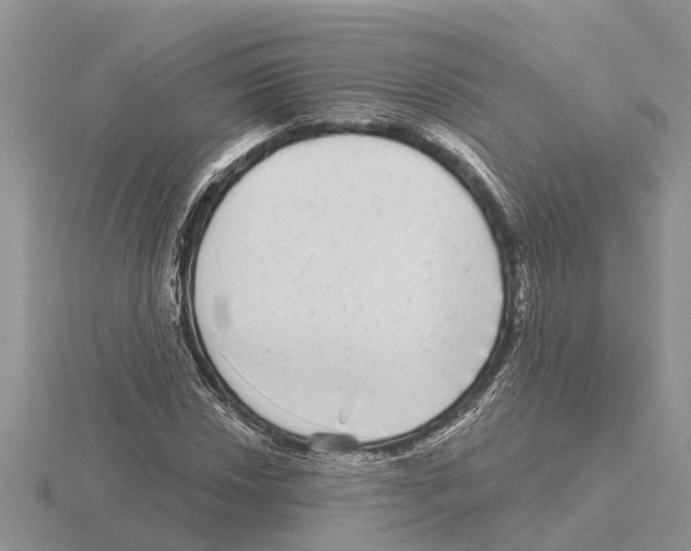 X0000115671018200912101108