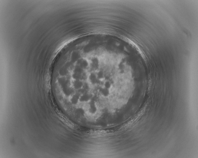 X0000115671019200912101108