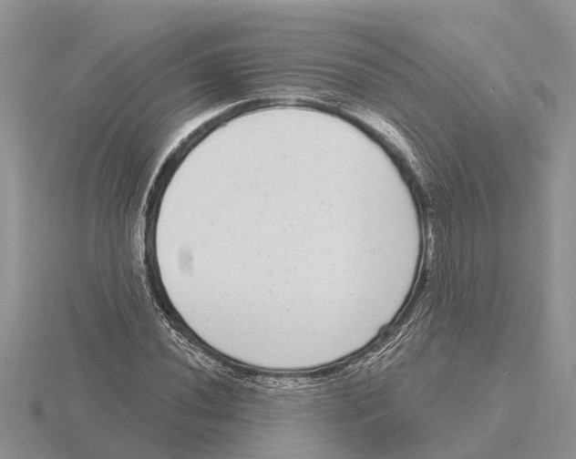 X0000115671020200912101108