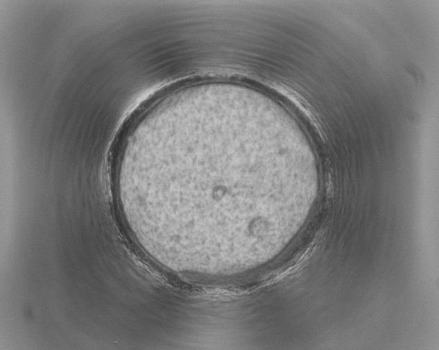 X0000115671022200912101108