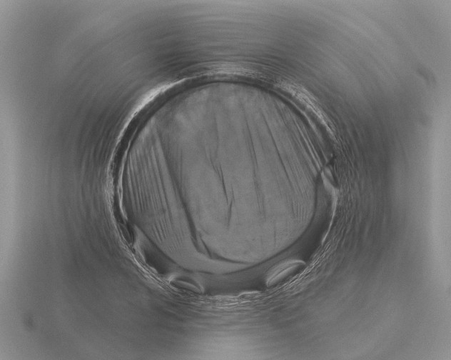 X0000115671024200912101108