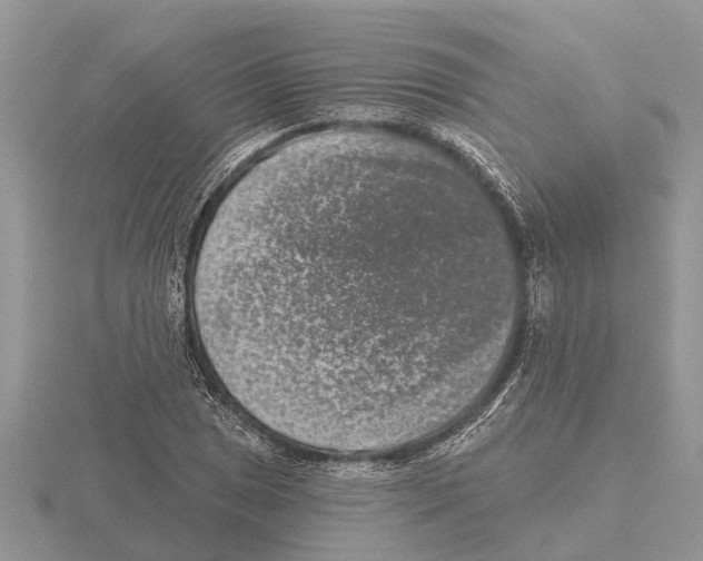 X0000115671025200912101108