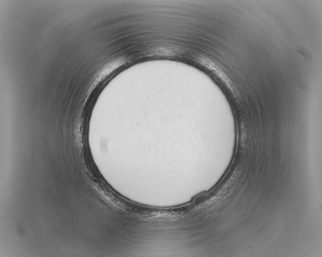 X0000115671026200912101108