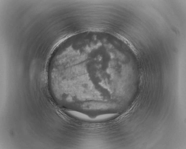 X0000115671027200912101108