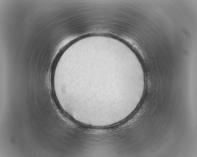 X0000115671030200912101108