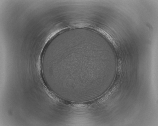 X0000115671031200912101108