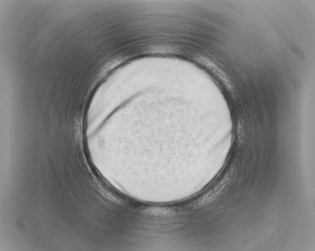 X0000115671033200912101108