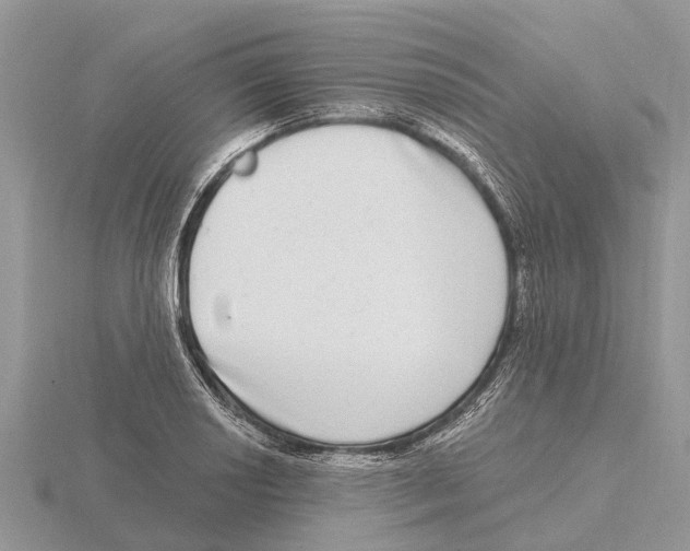 X0000115671034200912101108