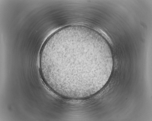 X0000115671036200912101108