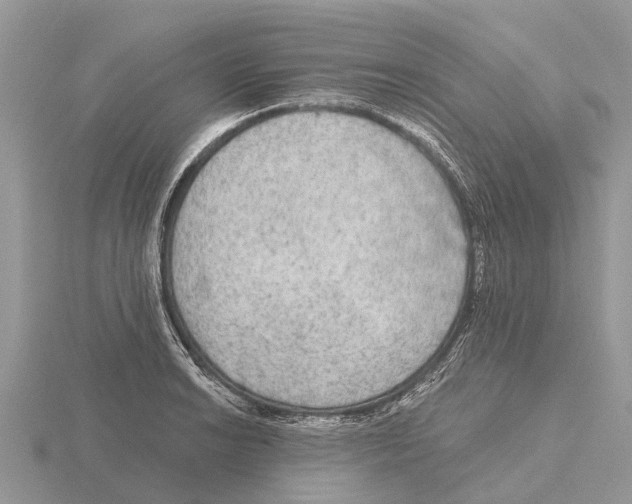 X0000115671038200912101108