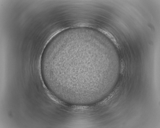 X0000115671039200912101108