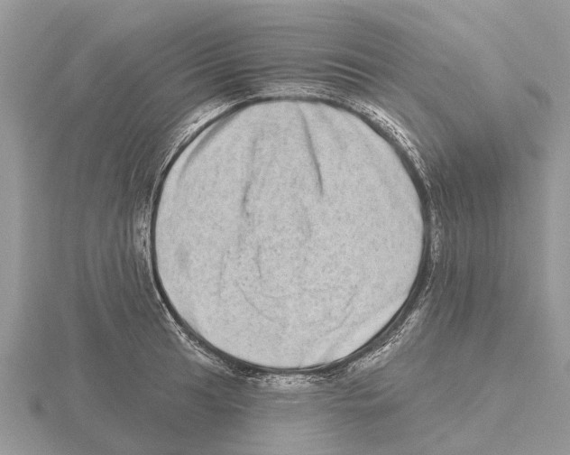 X0000115671041200912101108